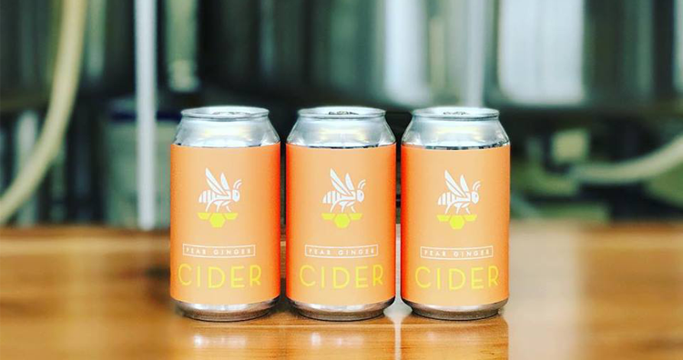 Where to Get the Best Hard Cider in Michigan